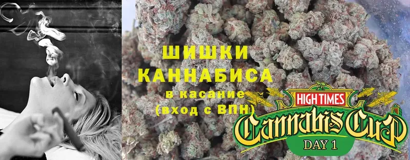 Канабис индика  omg   Куровское 